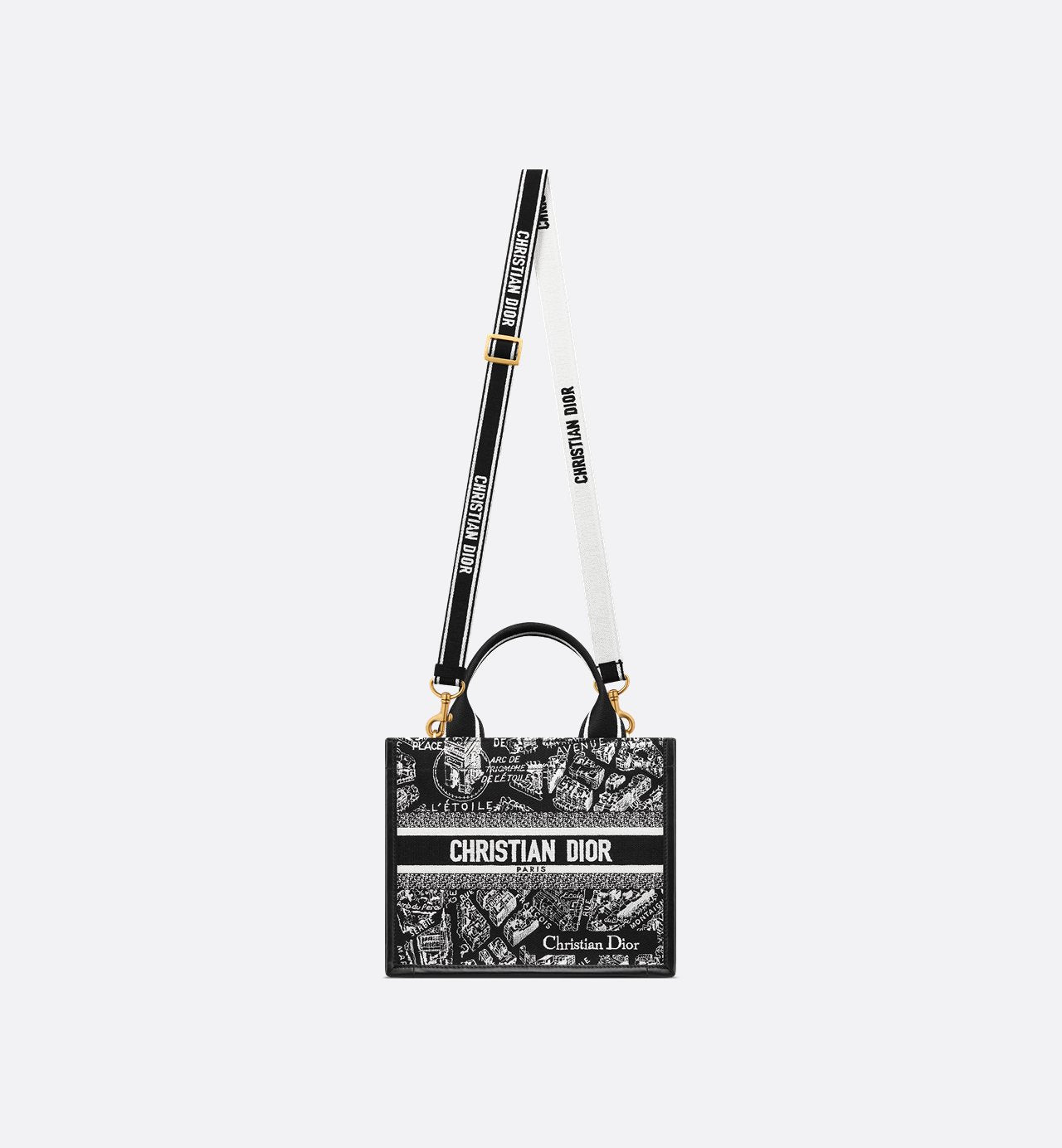 Sac Dior Book Tote Small