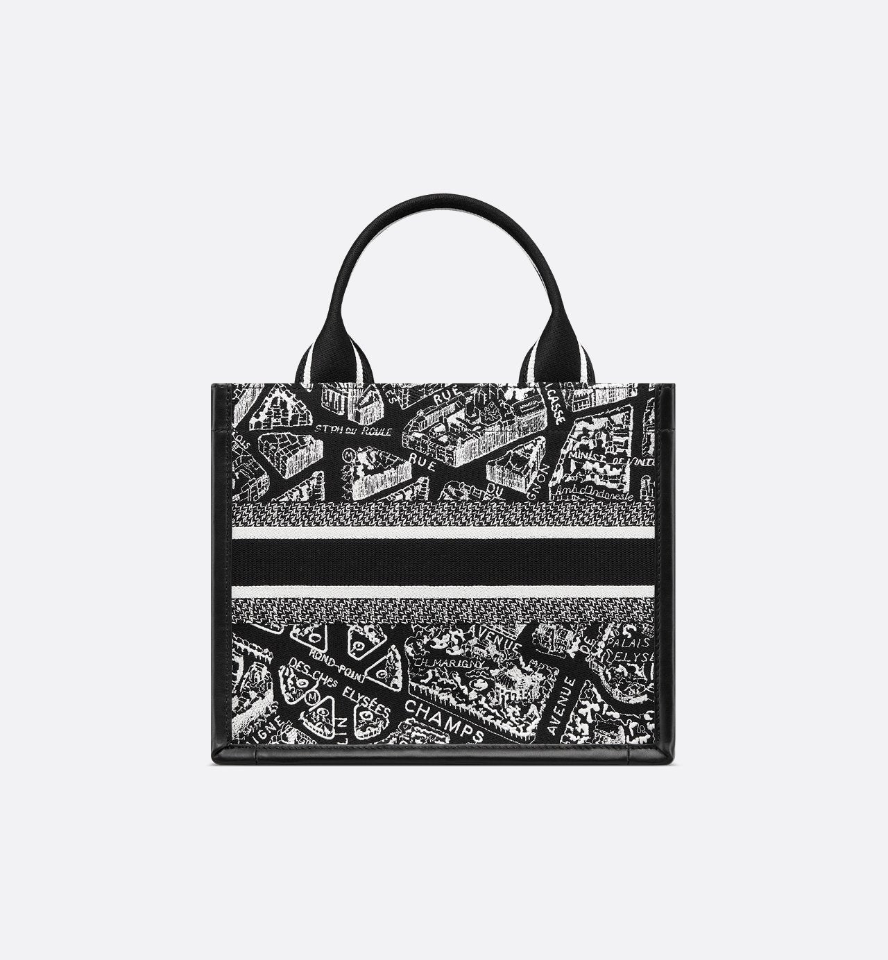 Sac Dior Book Tote Small